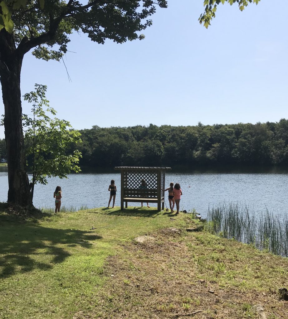 Nature at Camp Camp Poyntelle